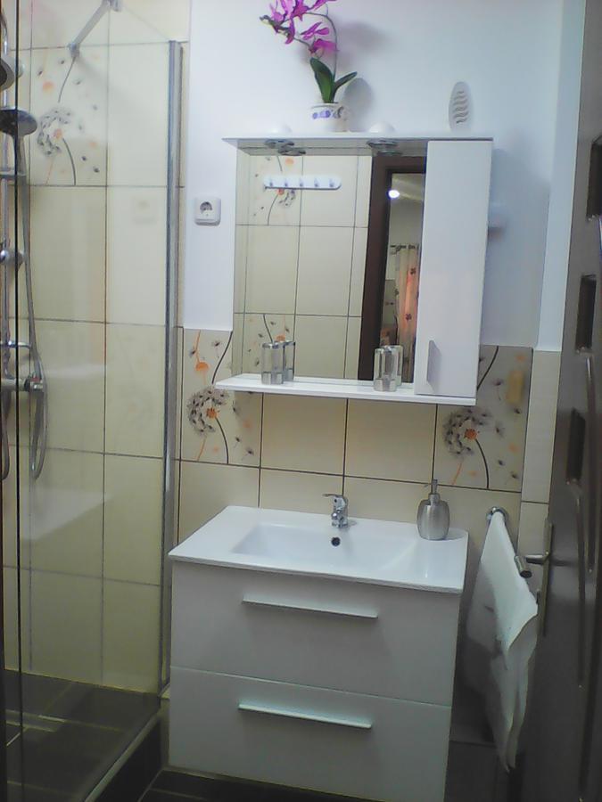 Mary Apartment سيبيو المظهر الخارجي الصورة