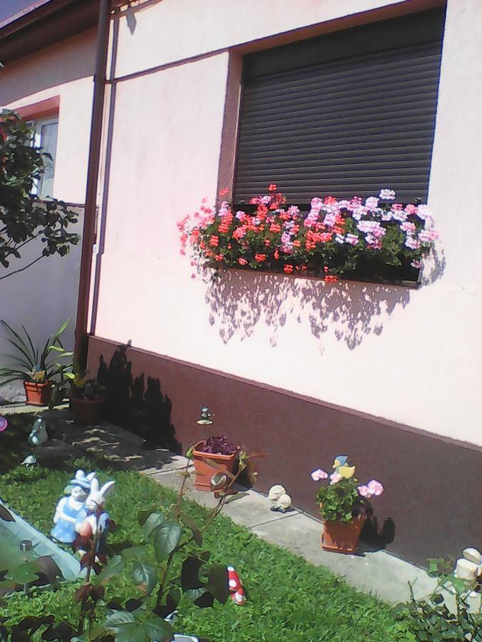 Mary Apartment سيبيو المظهر الخارجي الصورة
