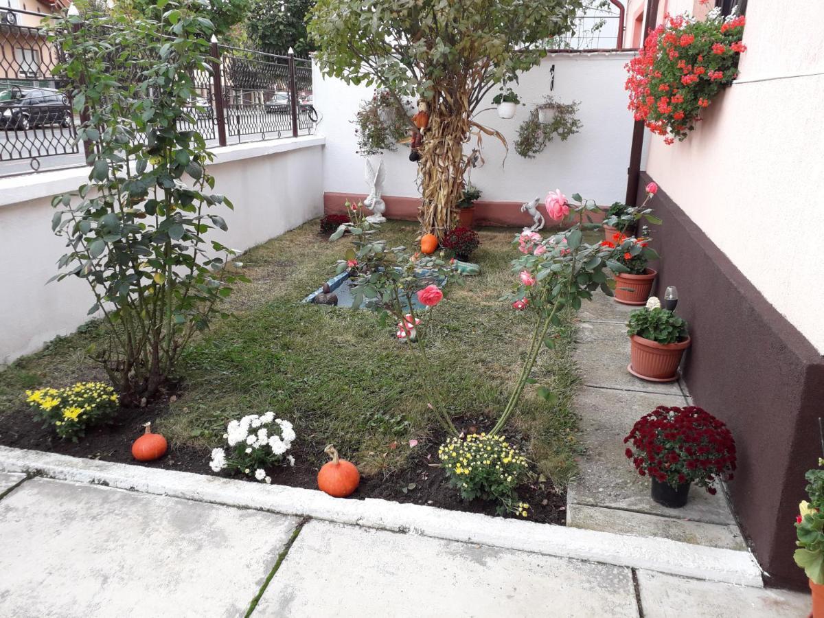 Mary Apartment سيبيو المظهر الخارجي الصورة