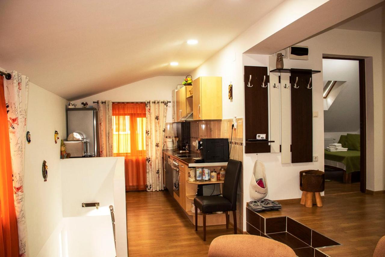 Mary Apartment سيبيو المظهر الخارجي الصورة